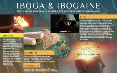 What is Iboga and Ibogaine?